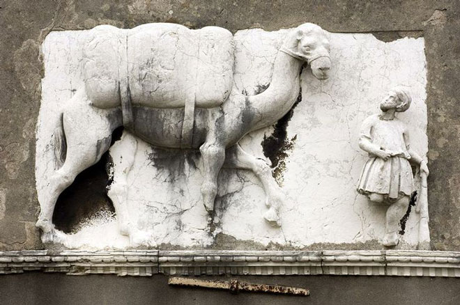 palazzo_del_cammello