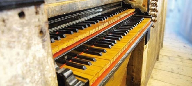 organistica