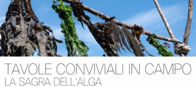 sagra-alga