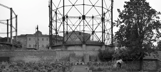hypervenezia