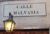 malvasia
